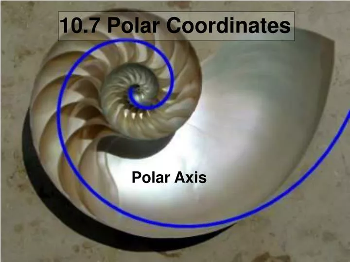 10 7 polar coordinates n.