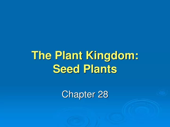 the plant kingdom seed plants n.