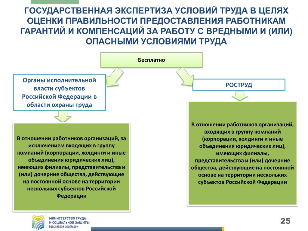 С какой целью проводится государственная экспертиза. Государственная экспертиза условий труда. Цель государственной экспертизы. Цели государственной экспертизы условий труда. Задачи государственной экспертизы условий труда.