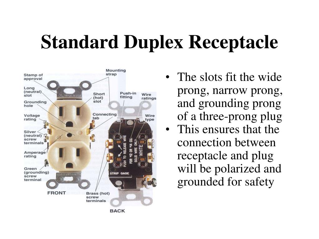 PPT ELECTRICAL RECEPTACLES PowerPoint Presentation, free download
