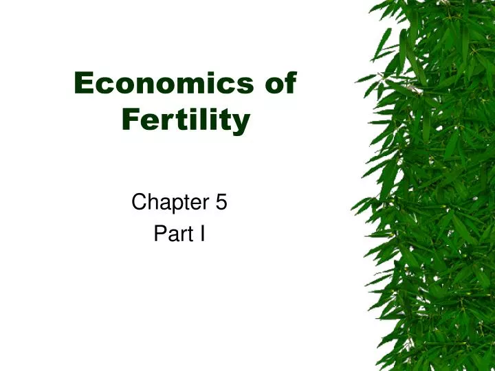 economics of fertility n.