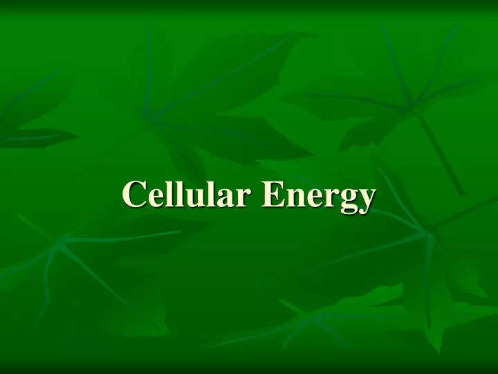 cellular energy n.