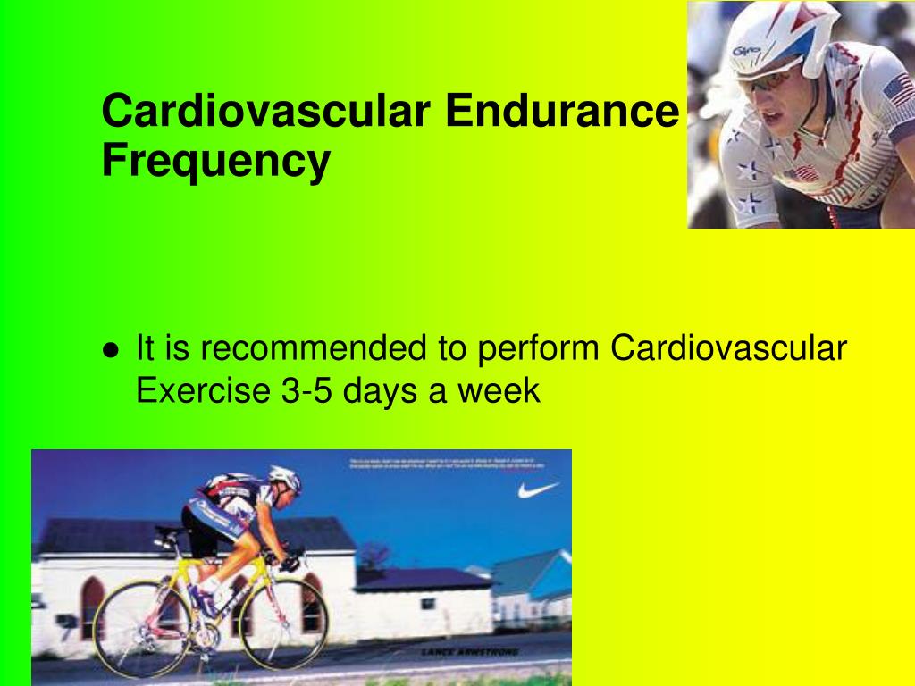 cardio endurance cardio endurance