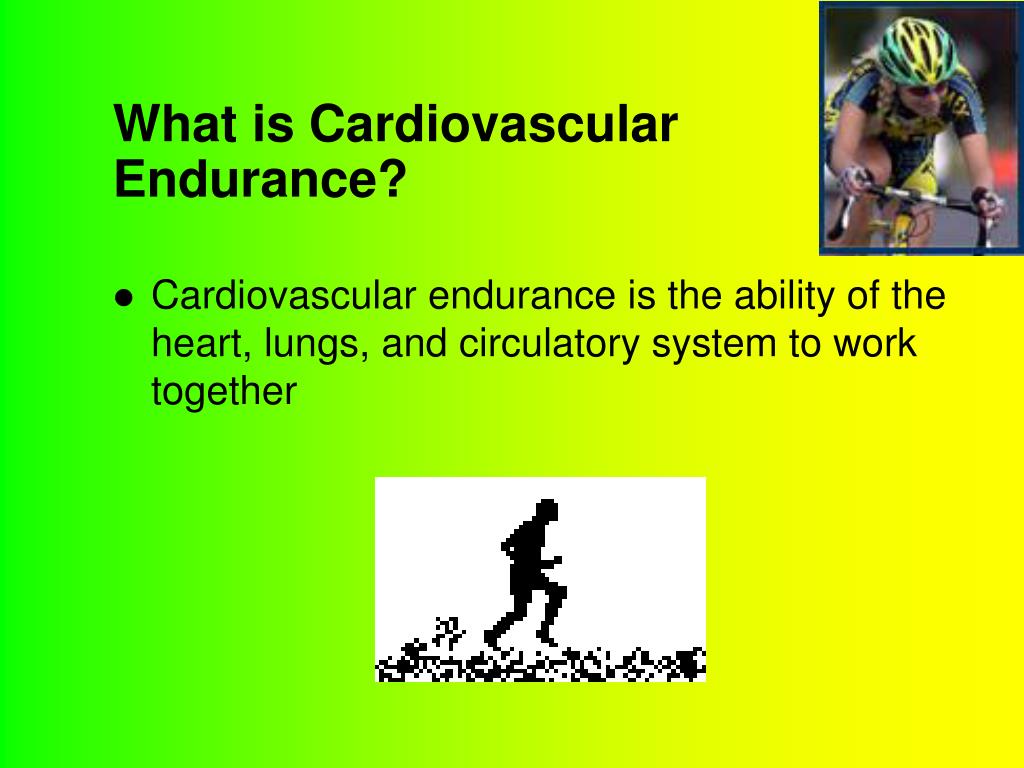 - What Cardiovascular Endurance? PowerPoint Presentation, free download - ID:5773241