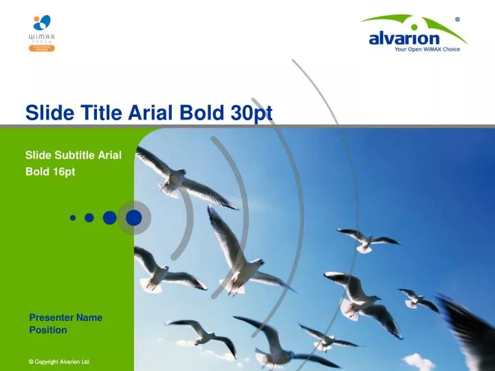 slide title arial bold 30pt n.