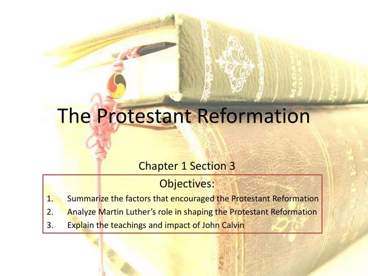 the protestant reformation n.
