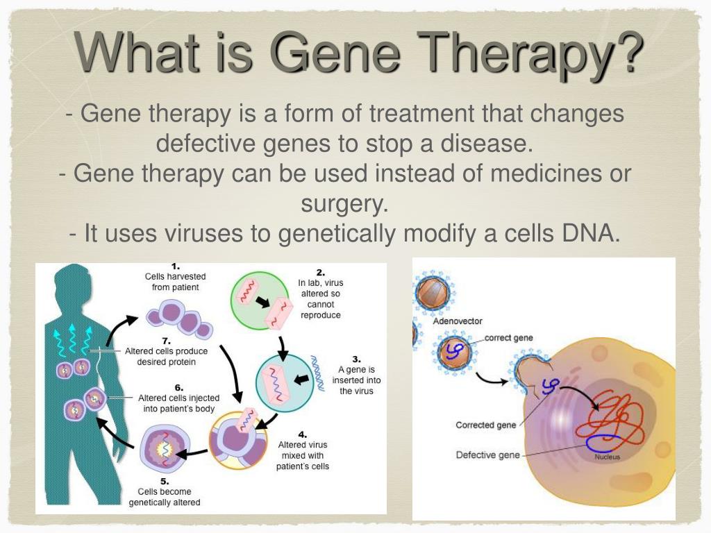 essay about gene therapy