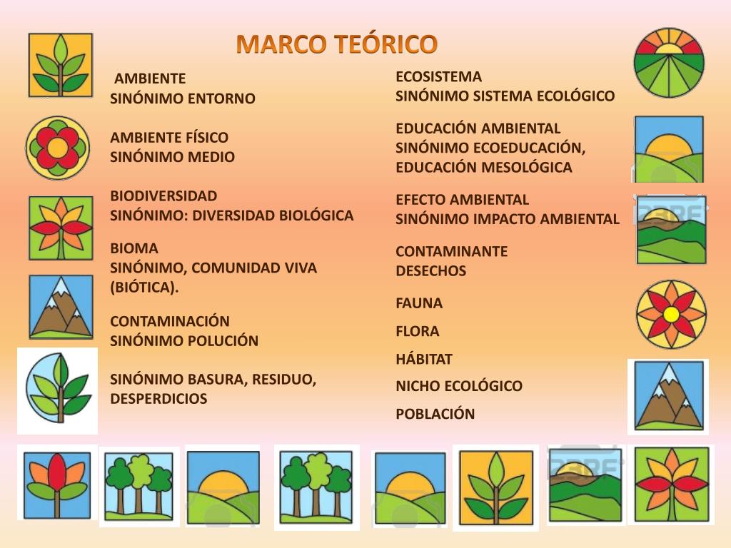 PPT - Proyecto de Educación Ambiental “Espacio Responsables: Margarita Macías Benjumea PowerPoint Presentation ID:5777341
