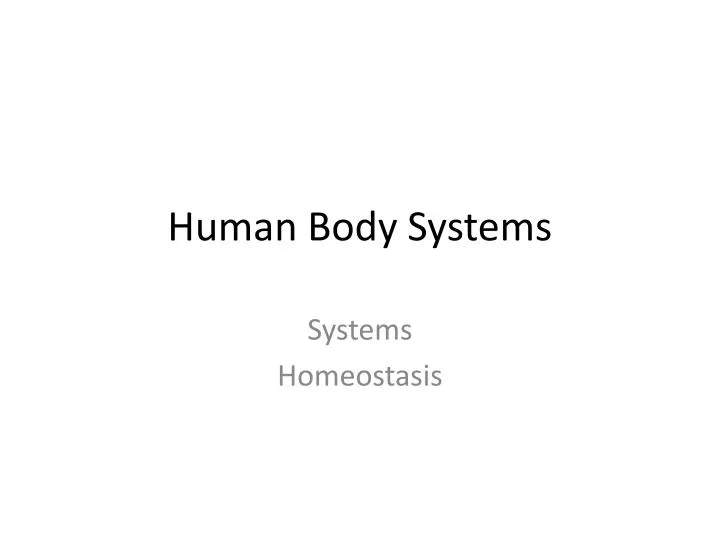human body systems n.
