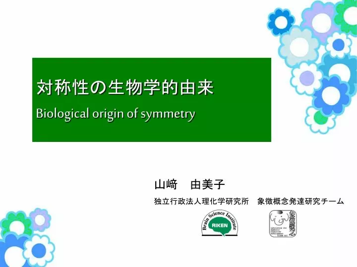 biological origin of symmetry n.