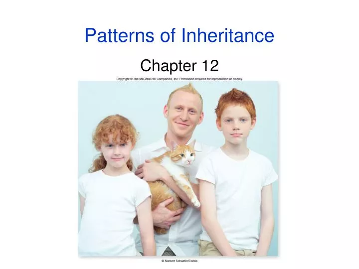 patterns of inheritance n.