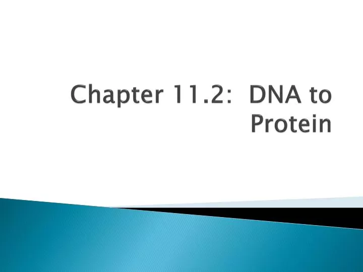 chapter 11 2 dna to protein n.