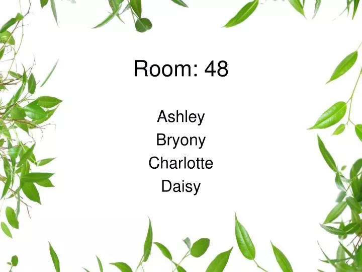 room 48 n.