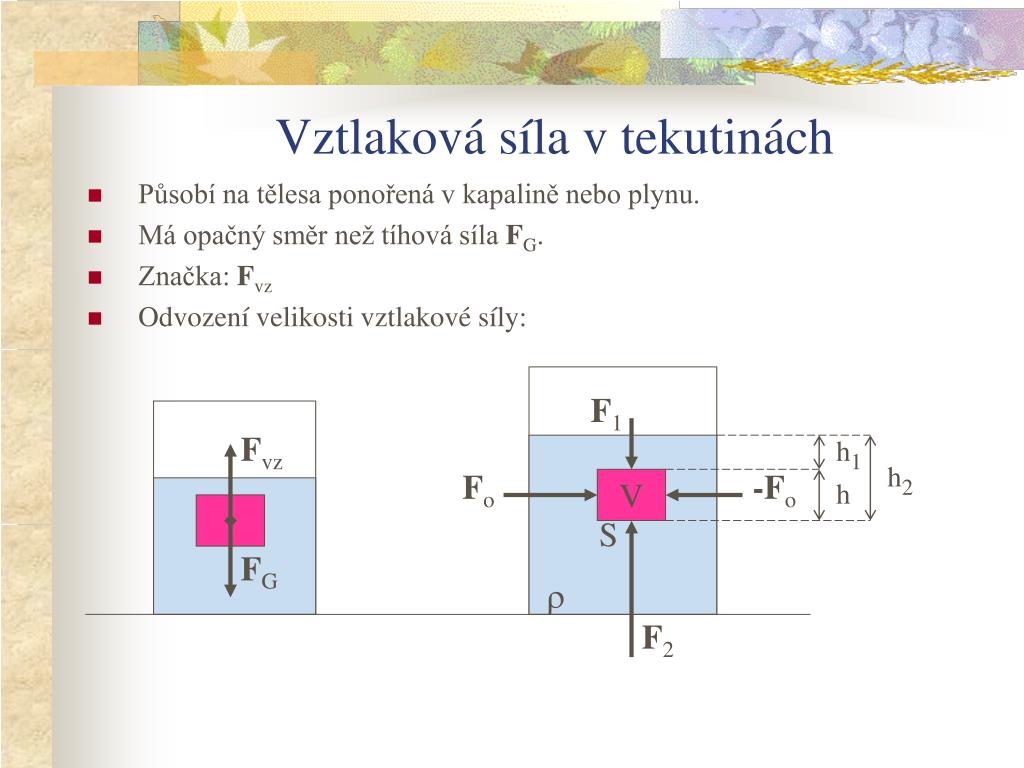 PPT - Vztlaková síla v tekutinách PowerPoint Presentation, free download -  ID:5779553