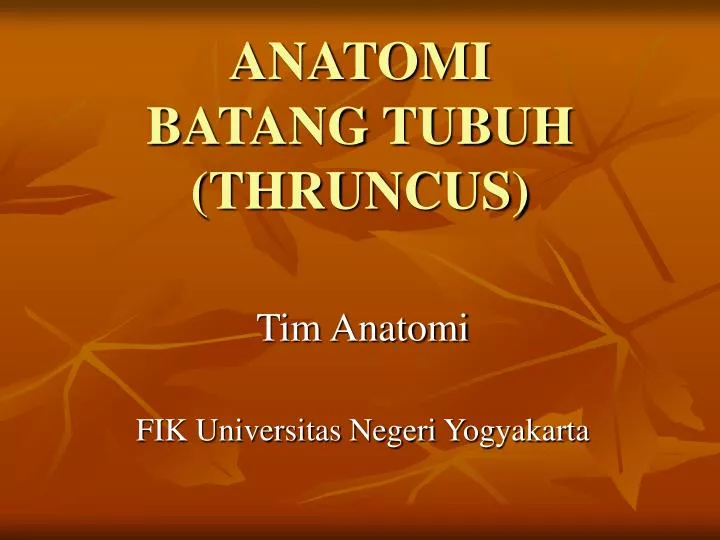 anatomi batang tubuh thruncus n.