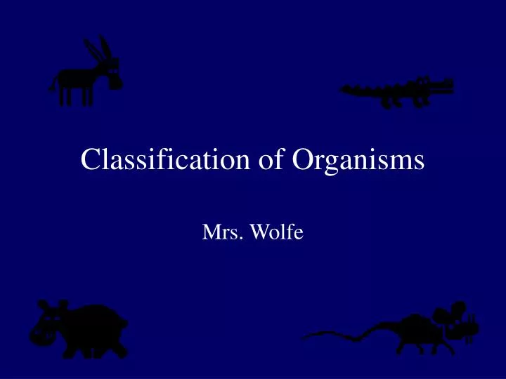classification of organisms n.