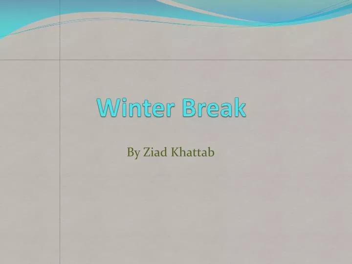 winter break n.