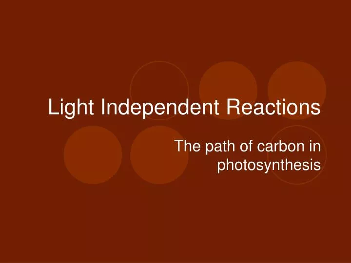 light independent reactions n.