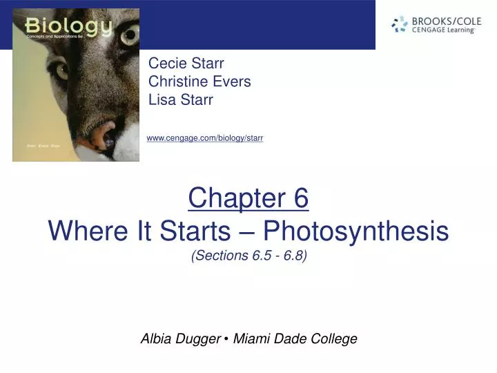 chapter 6 where it starts photosynthesis sections 6 5 6 8 n.