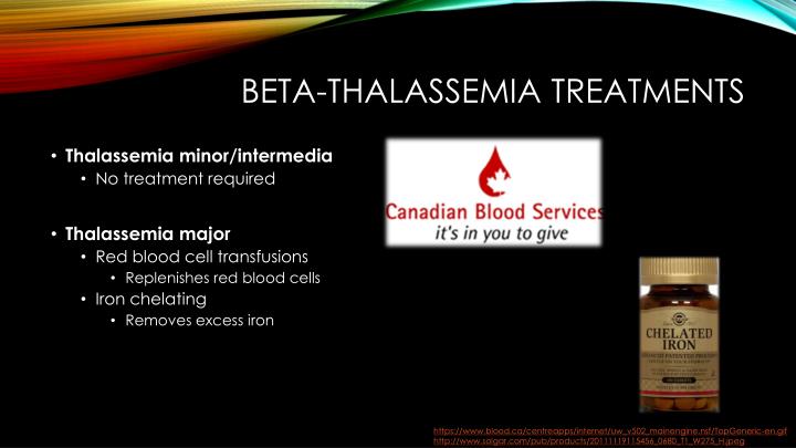 thalassemia minor supplements thalassemia minor supplements