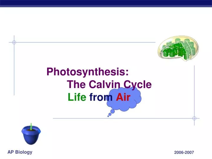 photosynthesis the calvin cycle life from air n.