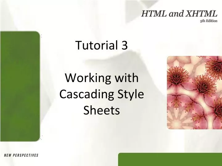 tutorial 3 working with cascading style sheets n.