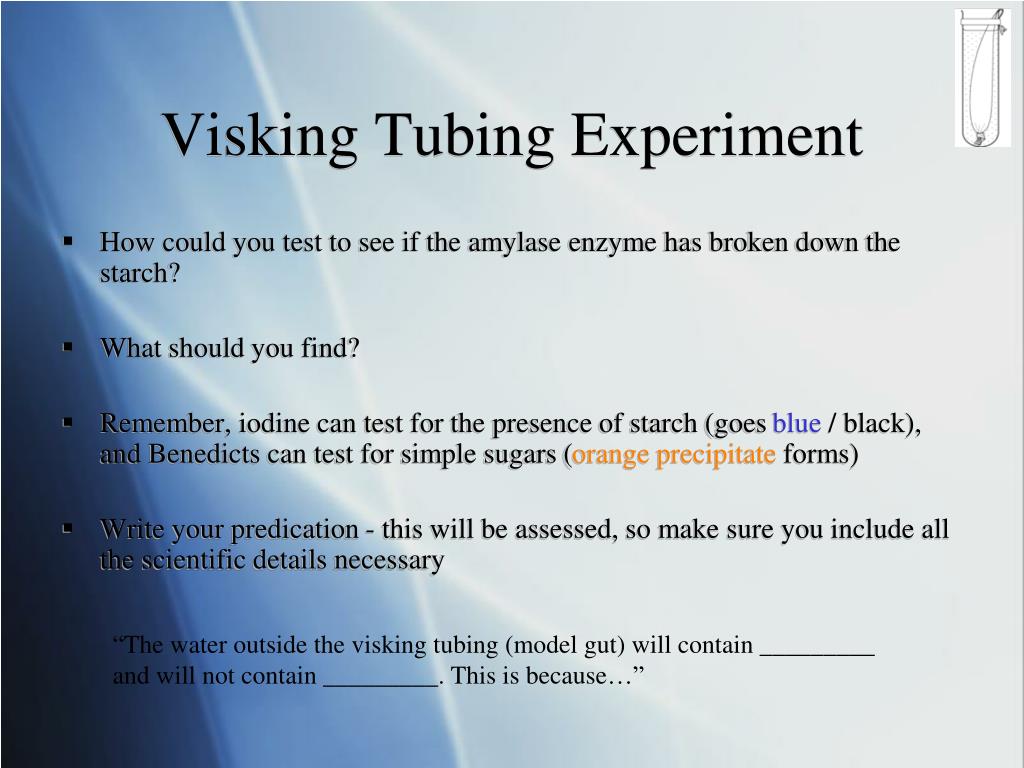 What type of membrane is Visking tubing? | Homework.Study.com