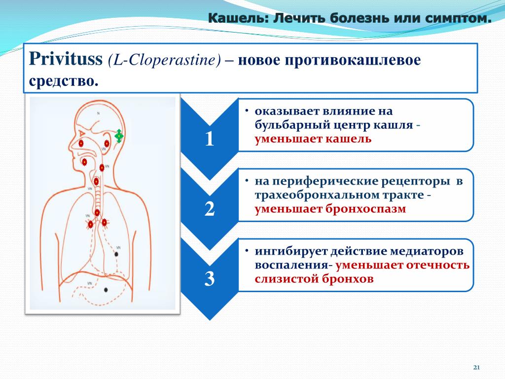 Кашлевой центр мозга