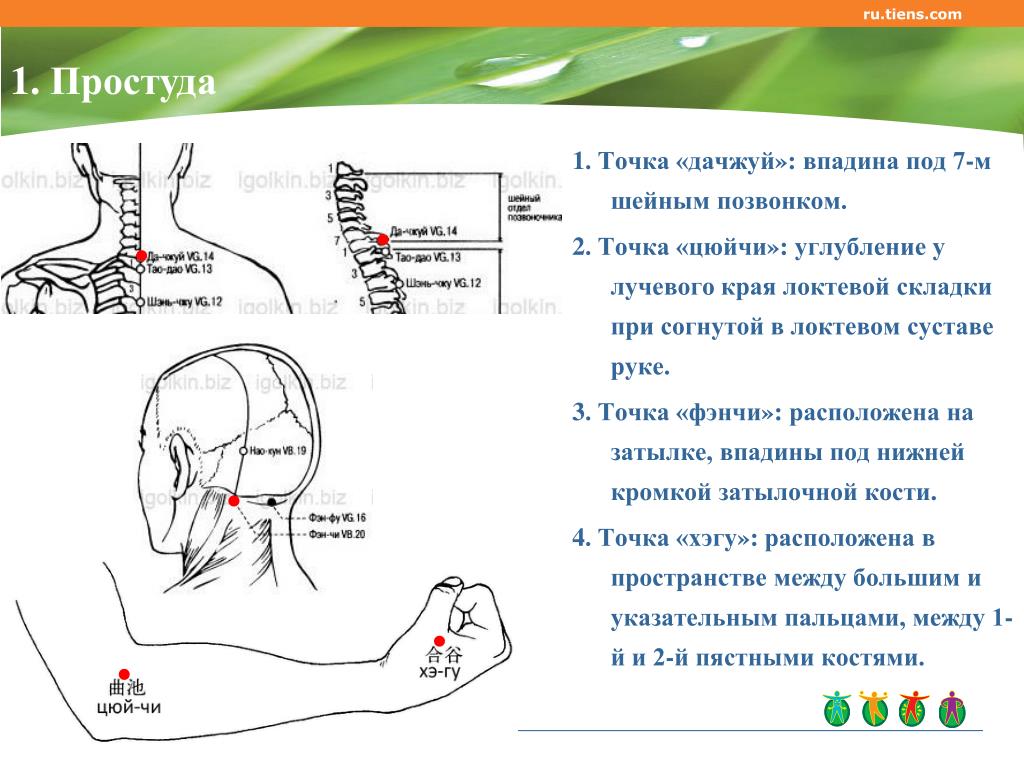 Точки при простуде. Иглорефлексотерапия точки воздействия. Акупрессура точечный массаж акупунктура. Точки акупунктуры на локтевом суставе. Точечный массаж схема.