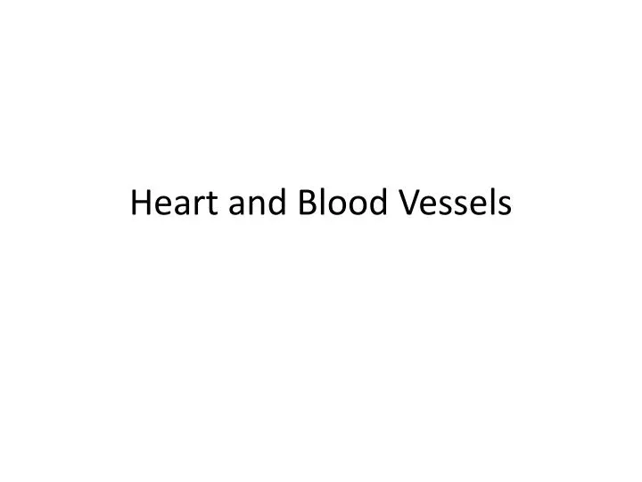 heart and blood vessels n.