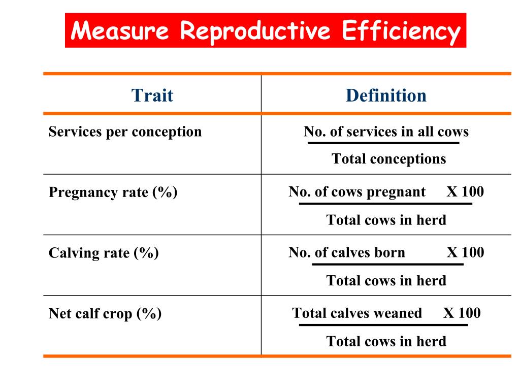 PPT - Reproductive Physiology of Beef and Cattle PowerPoint Presentation -  ID:5781922
