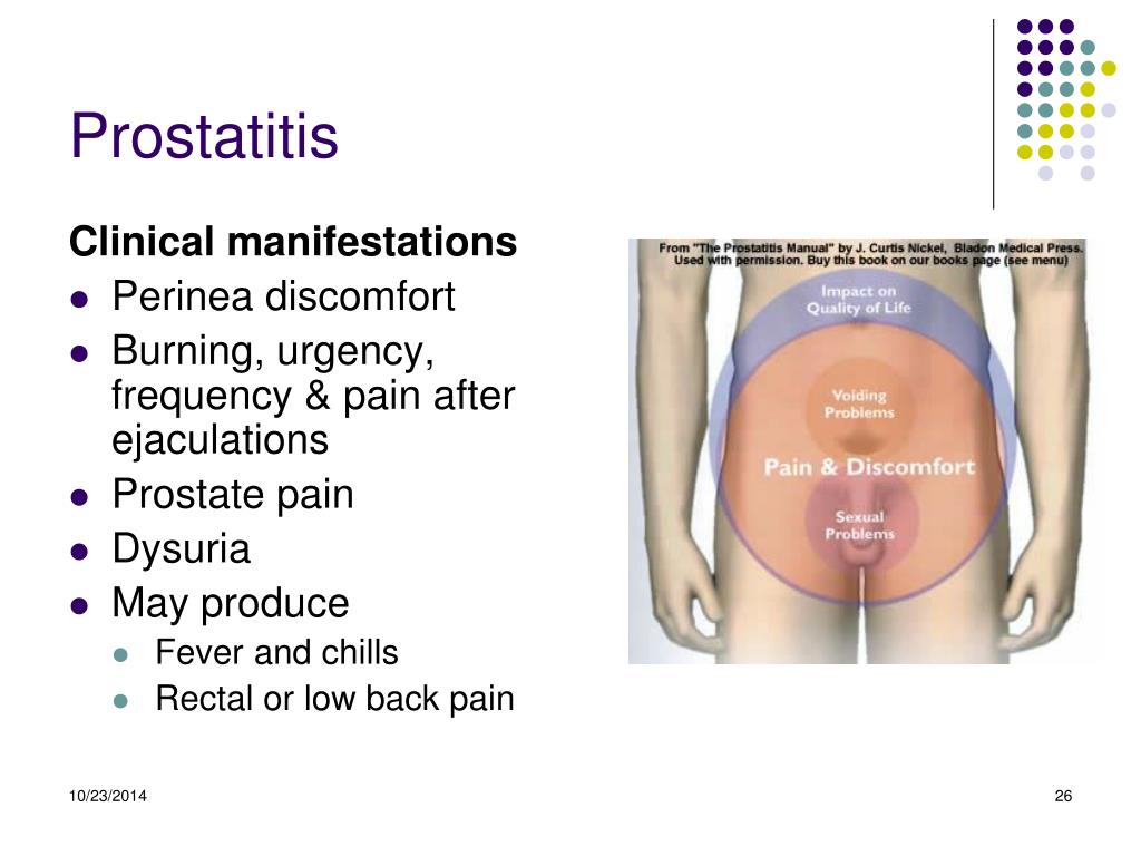 Can prostatitis cause rectal pain