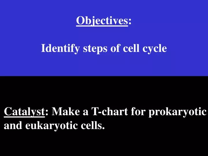objectives identify steps of cell cycle n.