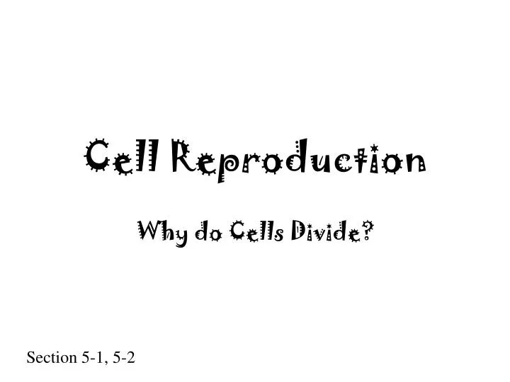 cell reproduction n.