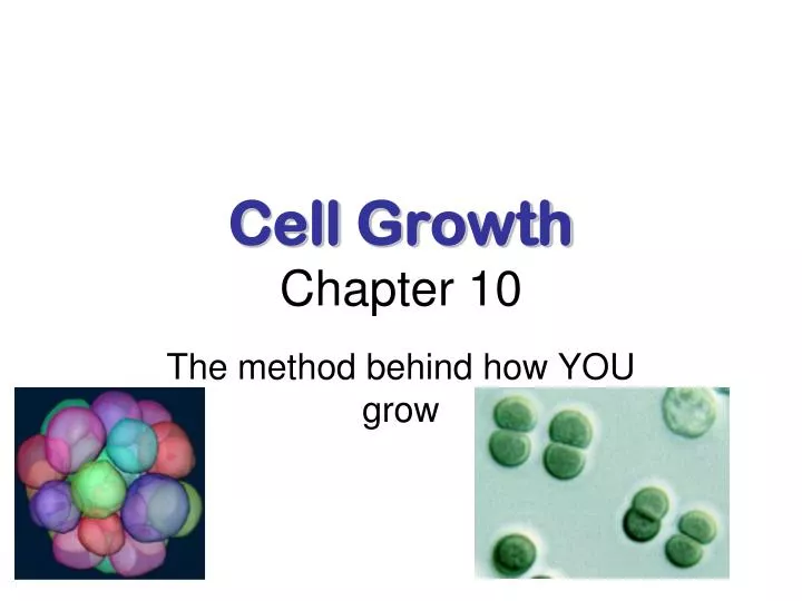 cell growth chapter 10 n.