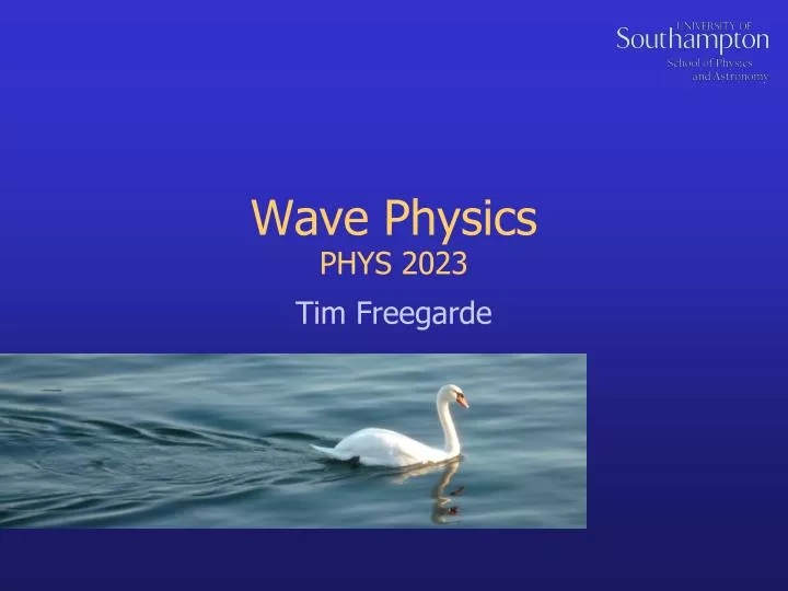 wave physics n.