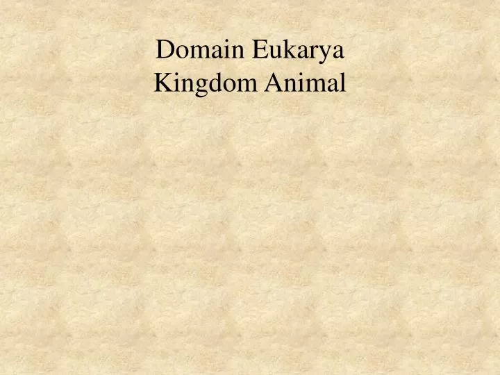domain eukarya kingdom animal n.