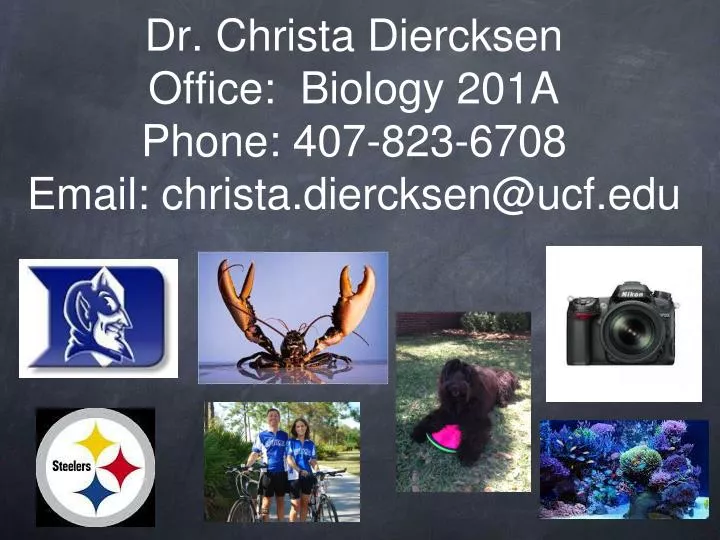 dr christa diercksen office biology 201a phone 407 823 6708 email christa diercksen@ucf edu n.