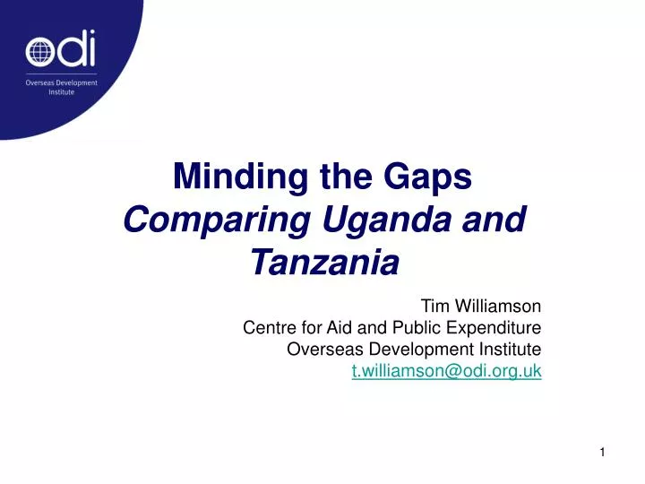 minding the gaps comparing uganda and tanzania n.
