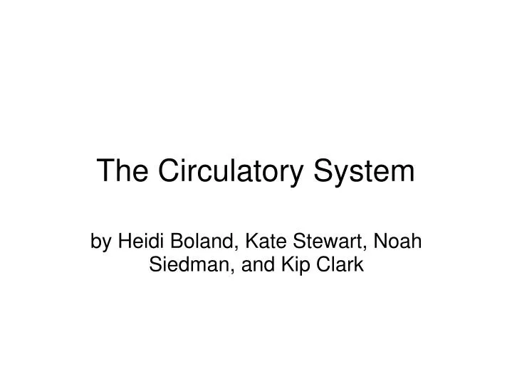 the circulatory system n.