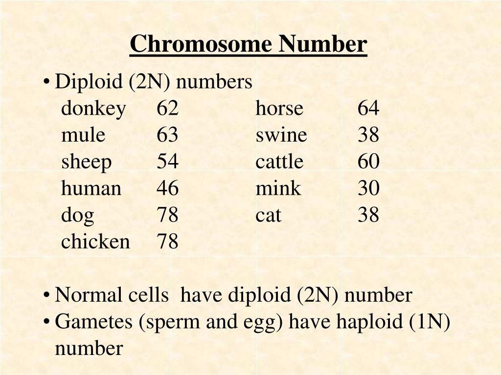 Ppt Fundamental Principles Of Genetics Powerpoint Presentation Free