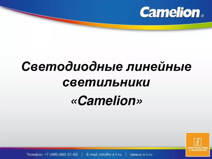 camelion n.