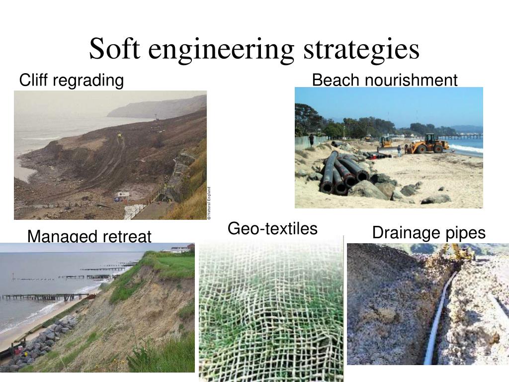 soft engineering coastal management case study