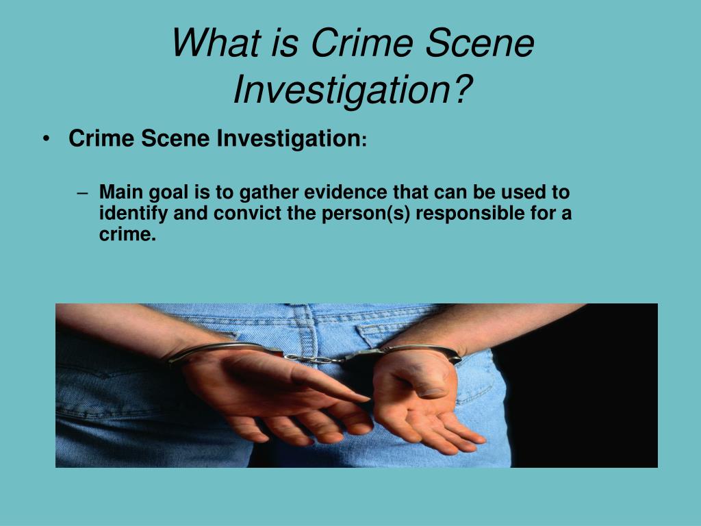 PPT - Crime Scene Investigation PowerPoint Presentation, free download