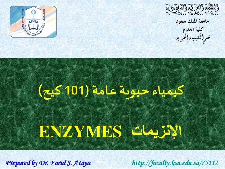 101 enzymes n.