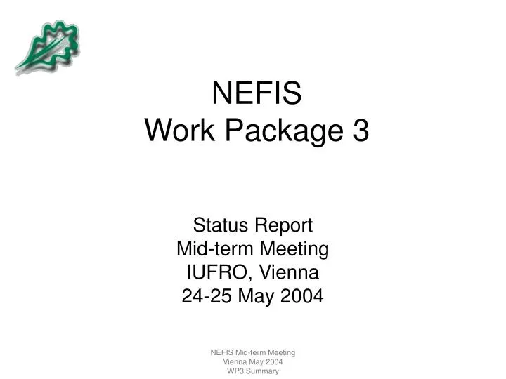 nefis work package 3 n.