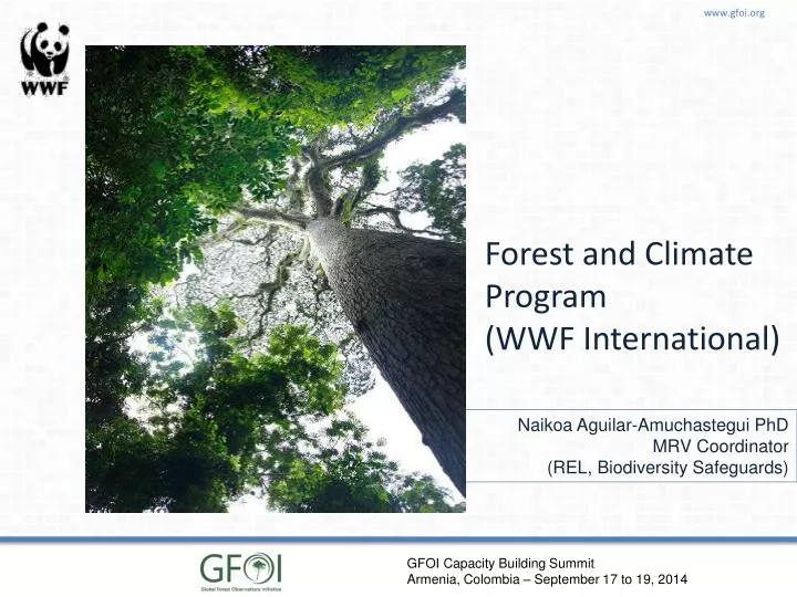 forest and climate program wwf international n.