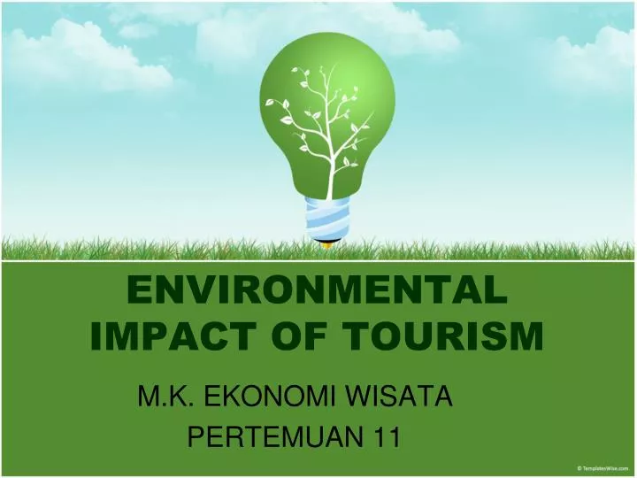 environmental impact of tourism n.