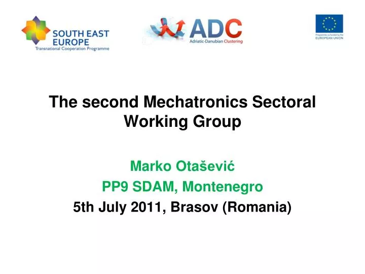the second mechatronics sectoral working group n.