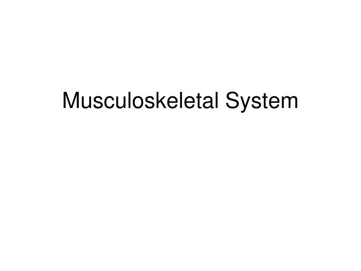 musculoskeletal system n.